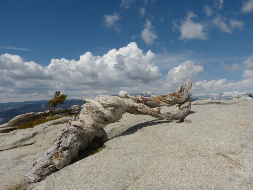 Wind und Wetter hinterlassen Spuren: Sentinel Dome