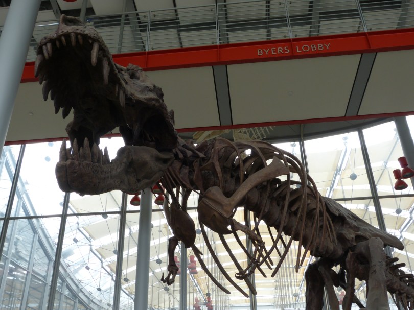 Knochenharter Türsteher der California Academy of Sciences