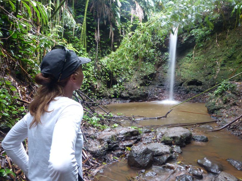 Regen, Schlamm, Moskitos: Unsere Exkursion zum mythischen vierten Wasserfall endet unrühmlich