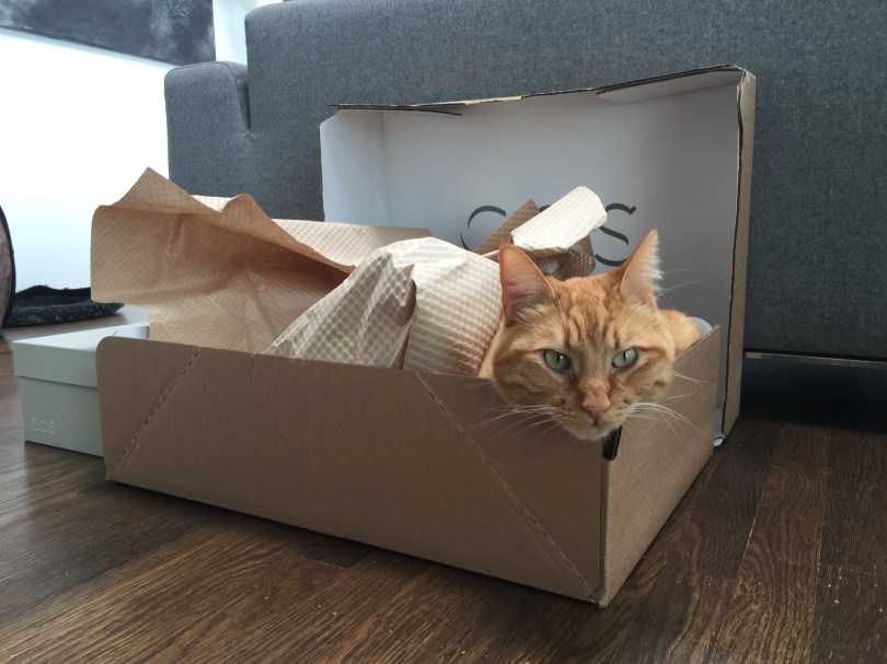 Auch Randy hat seinen Karton neu arrangiert