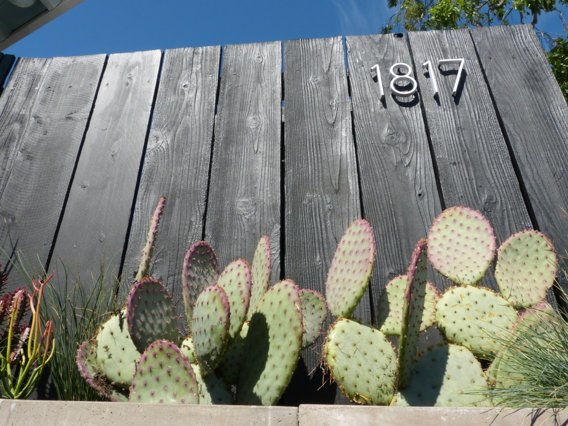 Ein paar Eimer Farbe, ein paar pflegeleichte Kakteen, und schon sieht der Eingang passabel aus