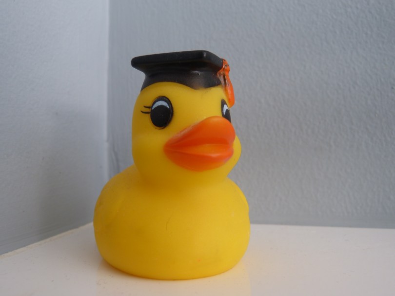 Detail: kein Badezimmer ohne Quietscheentchen!