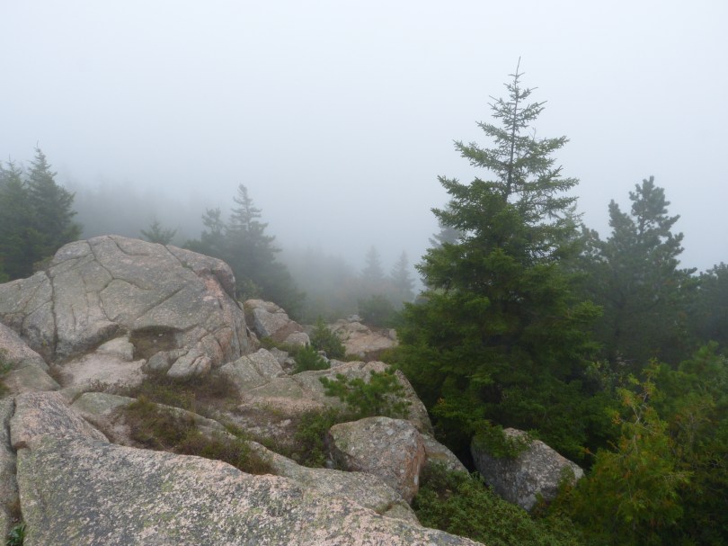 Während auf den Gipfeln des Parks dichter Nebel herrscht...