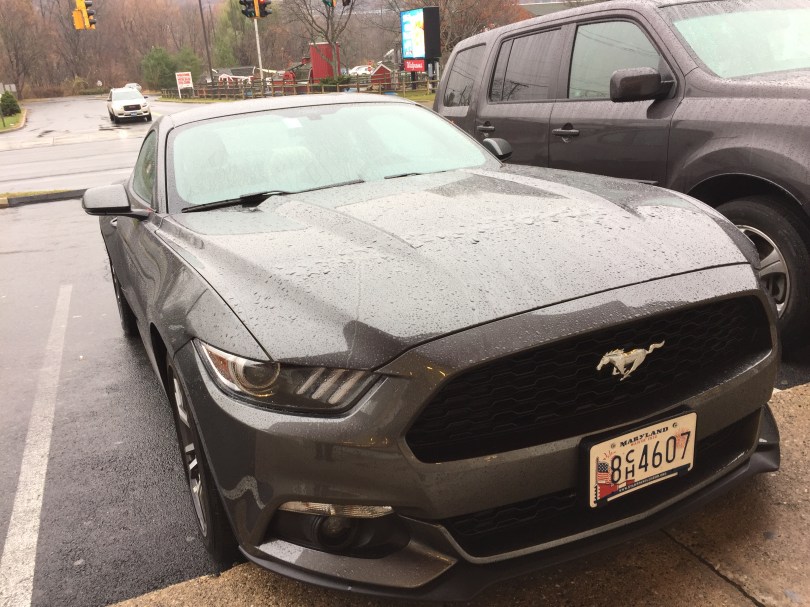 Sportlich, sportlich: Unser Mustang hat ordentlich Pferdestärken unter der Haube