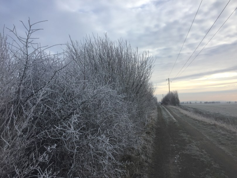 Kalt, aber gut für Körper und Seele: Morgenlauf bei Minusgraden