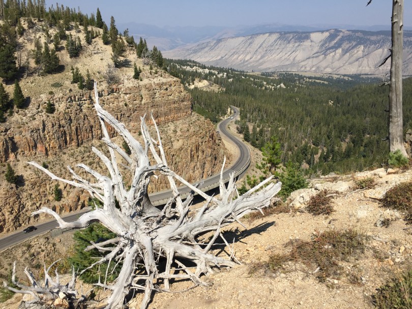 Mehr als 230 Kilometer schlängelt sich die Grand Loop Road durch den Park