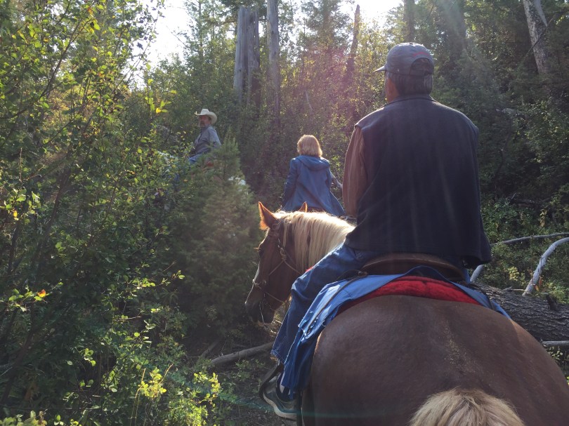 Aufstieg zum Bergrücken
