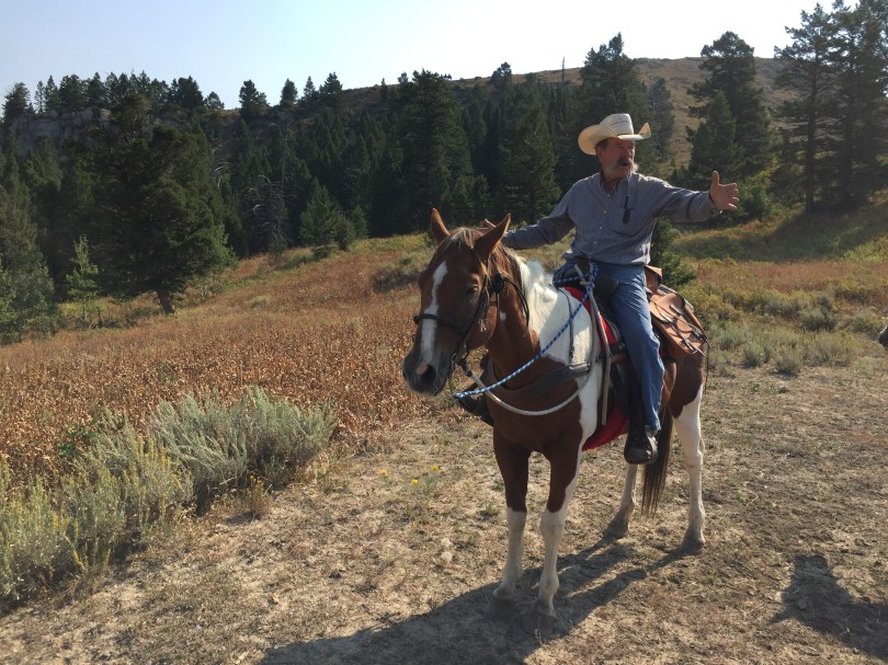 Chancy Wheeldon: Pferdezüchter in vierter Generation