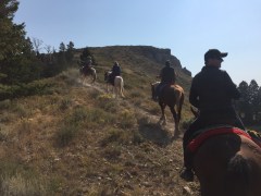 Aufstieg zum Bergkamm des Bridger-Teton National Forest