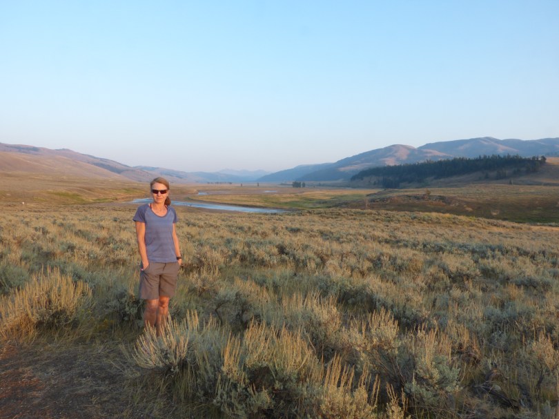 Serengeti Amerikas: Lamar Valley im Nordosten des Parks