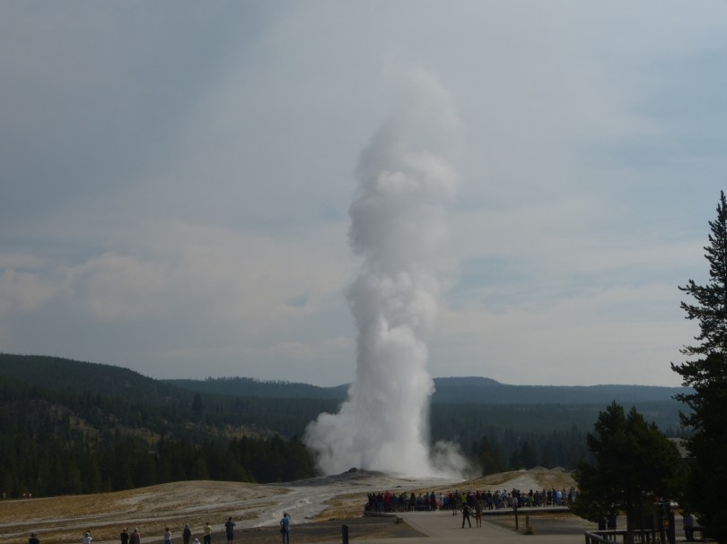 Verlässlich seit über 150 Jahren: Der Old Faithful Geyser bricht etwa alle 75 Minuten aus