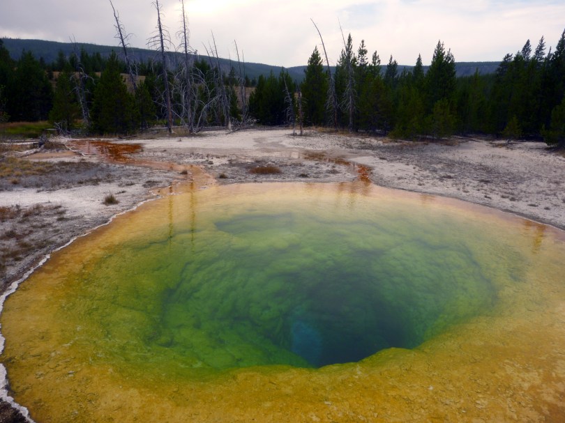 Kein Instagram-Filter! Der Morning Glory Pool erstrahlt in schönstem Technicolor