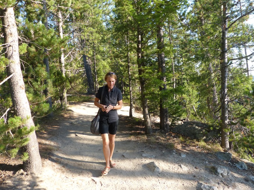 Entspannter Spaziergang am Jenny Lake