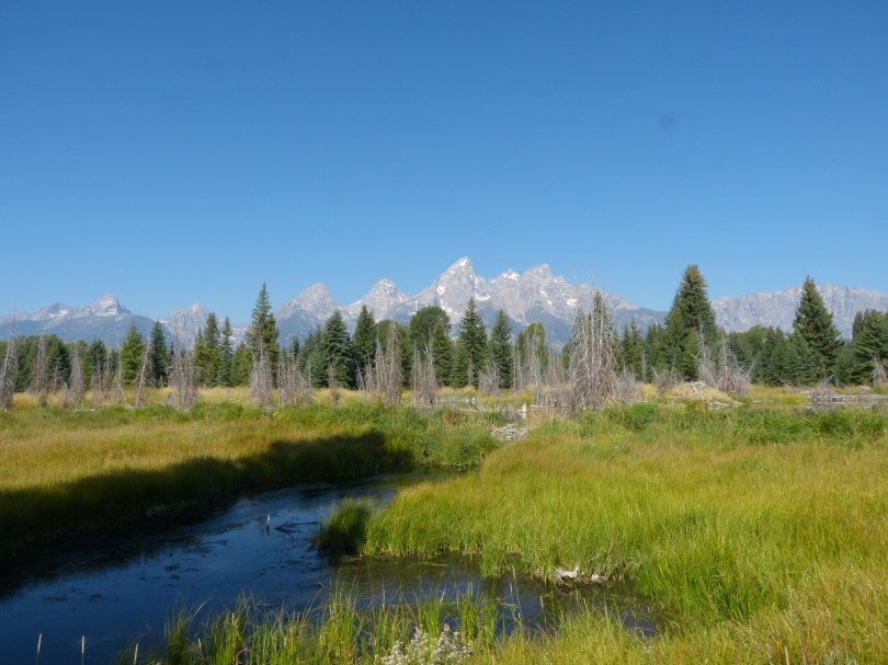 Schwabachers Landing mit Blick auf die Tetons