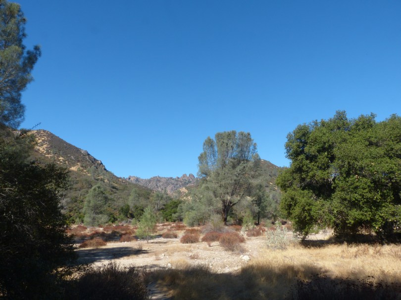 Pinnacles-Nationalpark: erst mal einfach nur querbeet durchs Gelände