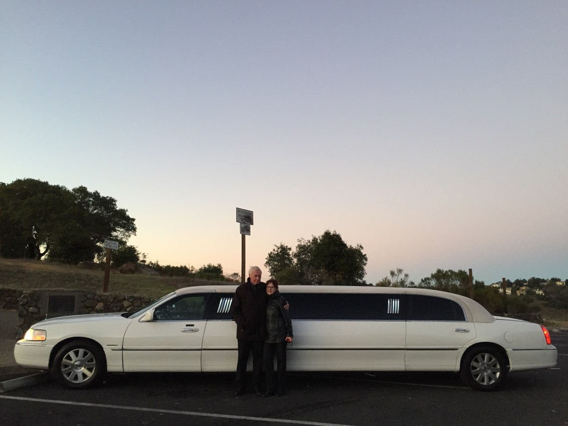 Zum 50. Hochzeitstag darf's auch mal ein bisschen mehr sein: Hilde und Herbert vor ihrer Kutsche