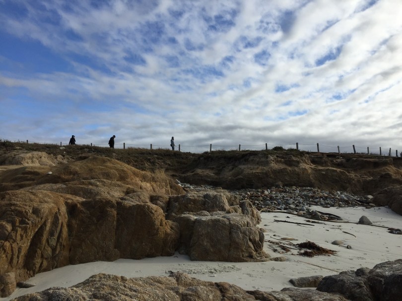 Strandspaziergang am Asilomar State Beach