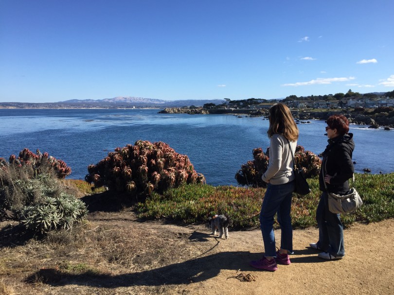 Sonniges Pacific Grove