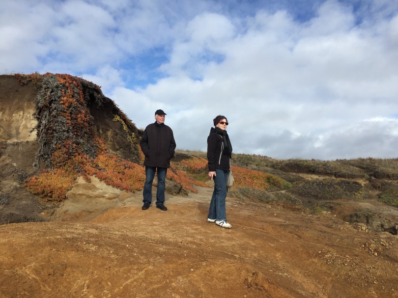 Farbenfrohe Mendocino Headlands