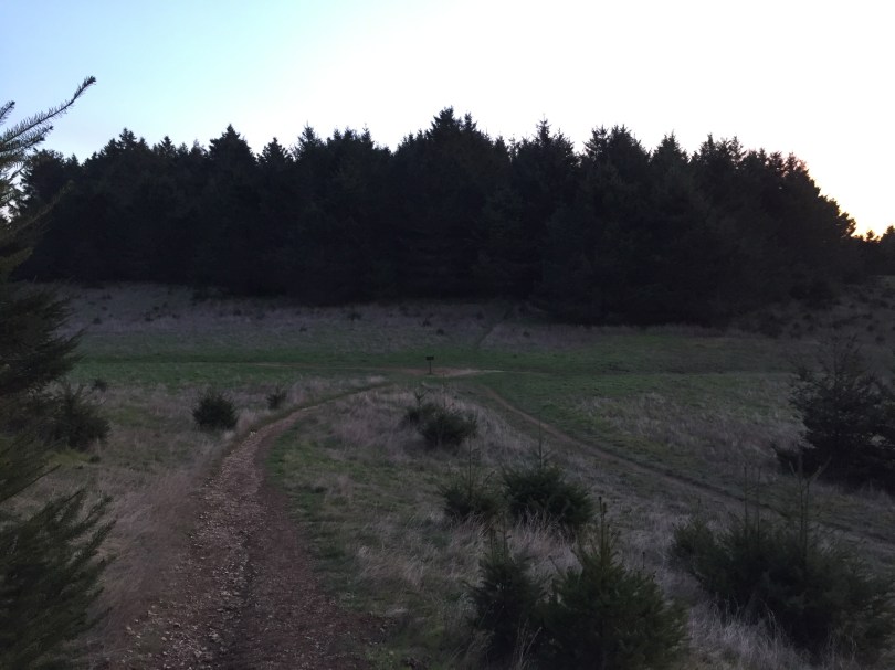 Allein im finsteren Wald: Gleich wird's dunkel und wir haben noch etwa eine Stunde des Weges vor uns