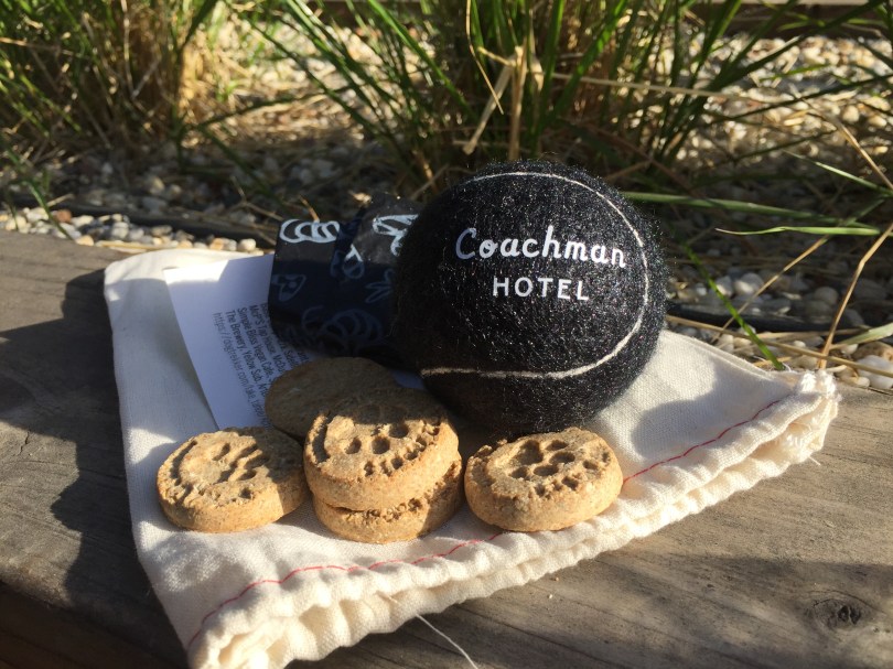 Hundefreundlich: Begrüßungspäckchen für vierbeinige Besucher des Coachman Hotels