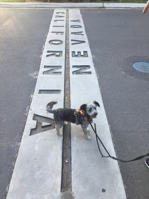 Grenzgänger: Cy auf der Staatsgrenze zwischen Kalifornien und Nevada