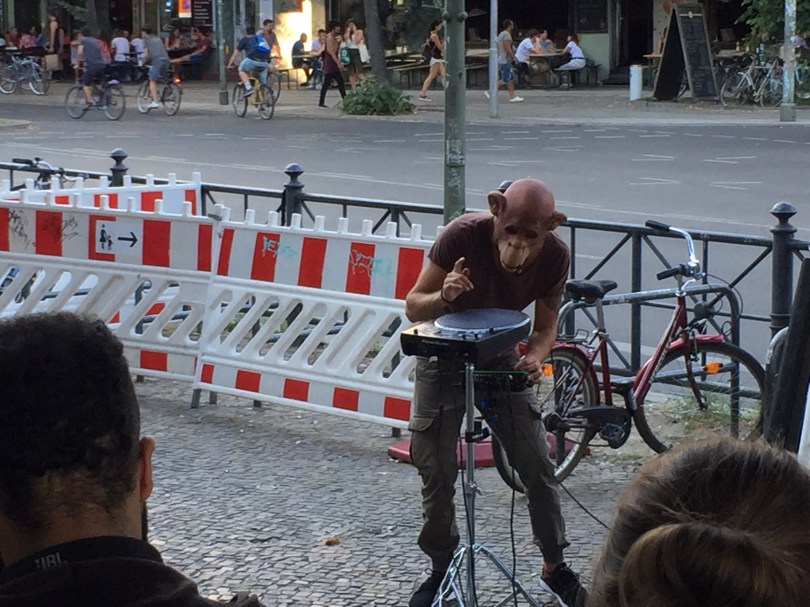 Stadtaffe (nein, das ist nicht Peter Fox)